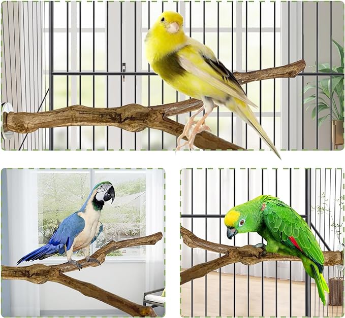 kathson Natural Parrot Perch Bird Stand Pole Wild Grape Stick Paw Grinding Fork - Image 6