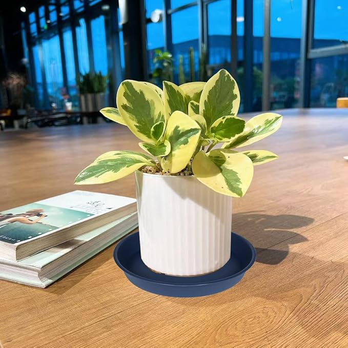 2 Pack of 20 21 inch Plant Saucer Round, Deep Plant Saucers - Image 6