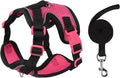 Cat Harness and Leash Set for Walking – Escape-Proof Reflective Vest for Cats by Muejjur
