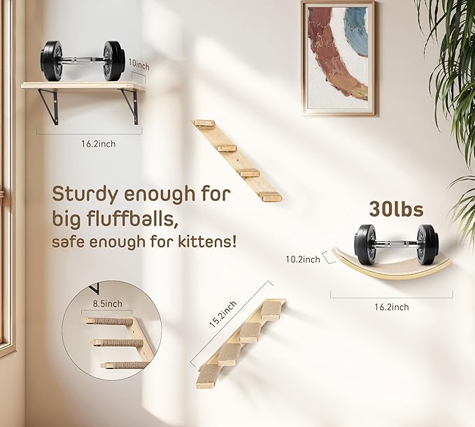 Wall Mounted Cat Shelves Set for Large Cats, 4 Piece Wood Cats Wall Furniture - Image 7