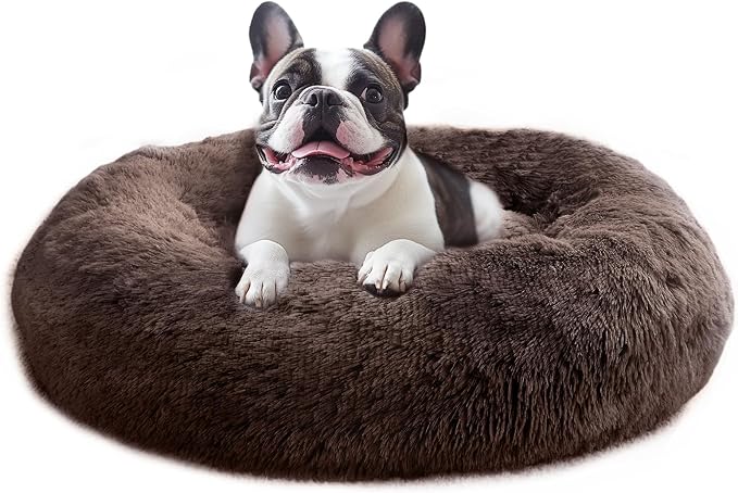 JOLLYVOGUE Calming Small Dog & Cat Bed by JOLLYVOGUE