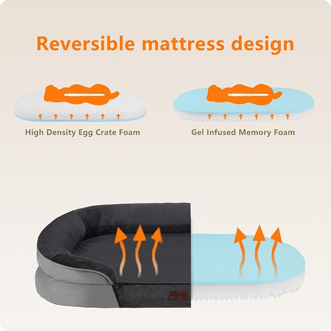Dwanton Orthopedic Dog Bed for Medium Dogs - Image 3