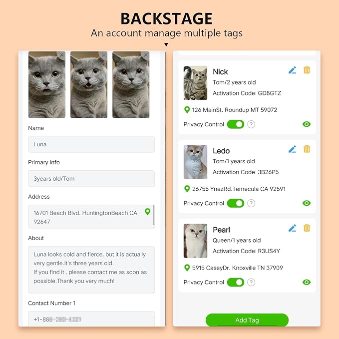 Smart QR Code Cat Collar 2-Pack, Breakaway Reflective Collar - Image 9