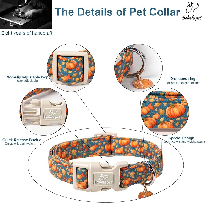 Fall Dog Collar Cute Autumn Pumpkin Puppy Collar - Image 3