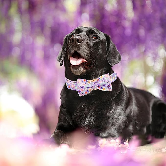 Elegant little tail Dog Collar, Rose Print Pet Collar Summer Dog Collar Durable - Image 6