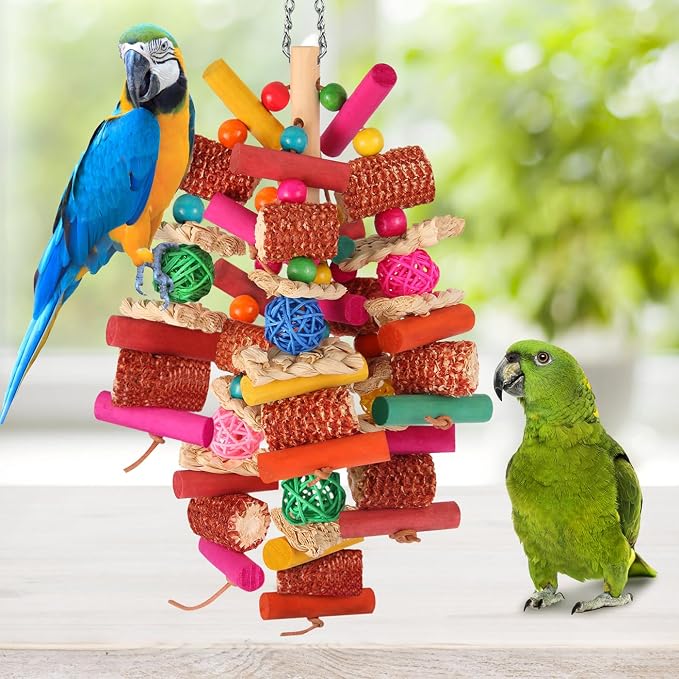 Kyouki Parrots Toys for Cockatiels, Parrotlets, Meyer's & Other Small/Medium - Image 5