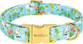 Easter Dog Collar for Medium Dogs, Easter & Spring Theme Medium Dog Collar by Unknown