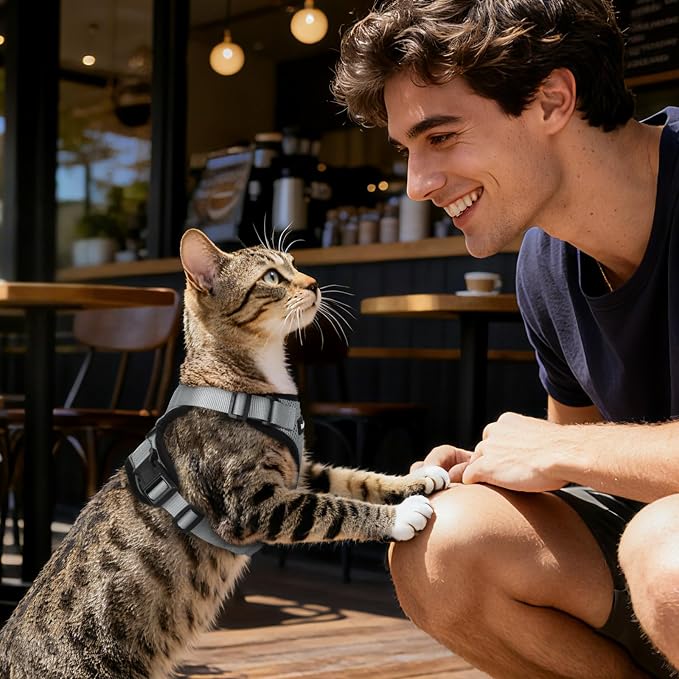 Dooradar Cat Harness and Leash Set, Escape Proof Safe Adjustable Kitten Vest - Image 2