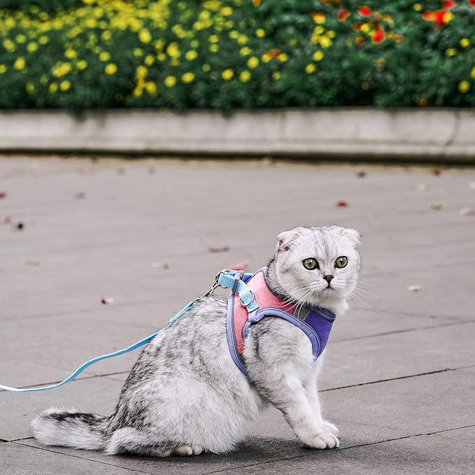 JSXD Cat Harness, Leash and Collar Set, Escape Proof Kitten Vest Harness - Image 3