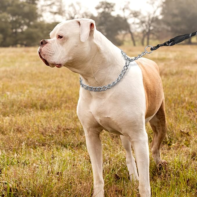 TagME Chain Choke Collar for Dogs, Adjustable Weather Proof Necklace for Large - Image 6