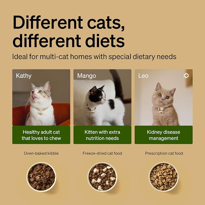 PETLIBRO RFID Automatic Cat Feeders - Image 6