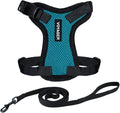 Voyager Escape-Proof Step-in Lock Cat Harness & 5ft Neoprene-Handle Leash Set by BestPetSuppliesLLC