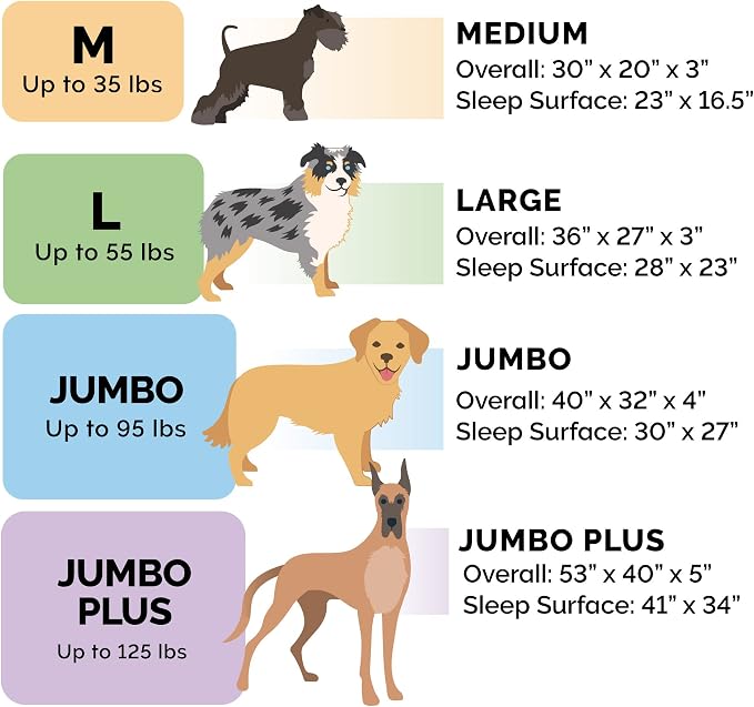 Furhaven Orthopedic Dog Bed for Medium/Small Dogs w/ Removable Bolsters & - Image 6