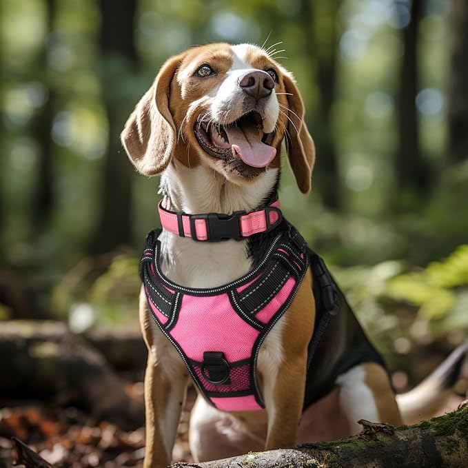 Joytale Reflective Dog Collar, Soft Neoprene Padded, Metal D-Ring, Nylon Pet - Image 2
