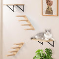 Cat Wall Furniture Set by PELUOMOZ