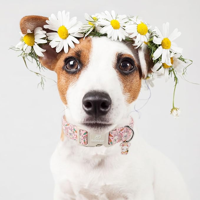 Easter Dog Collar for Medium Dogs - Image 2