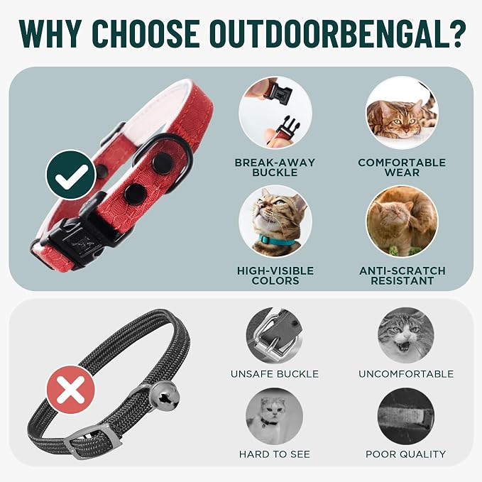 OutdoorBengal Black Breakaway Kitten Collar - Image 3