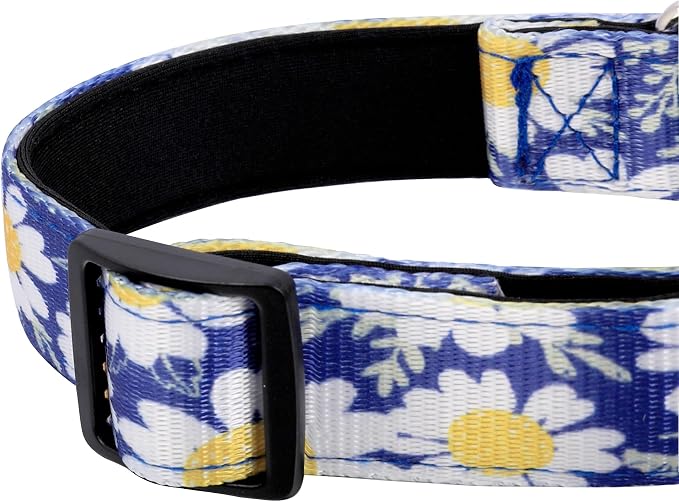 Reflective Dog Collar, Adjustable Soft Neoprene Padded Nylon Pet Collars - Image 5