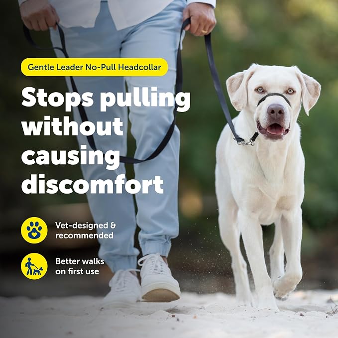 PetSafe Gentle Leader Headcollar - Image 2