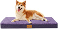 Patas Lague Orthopedic Dog Bed Large Sized Dog 36''X24'', Soft Waterproof Egg by PatasLague