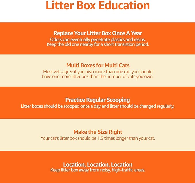 Amazon Basics Large Cat Litter Box - Image 7