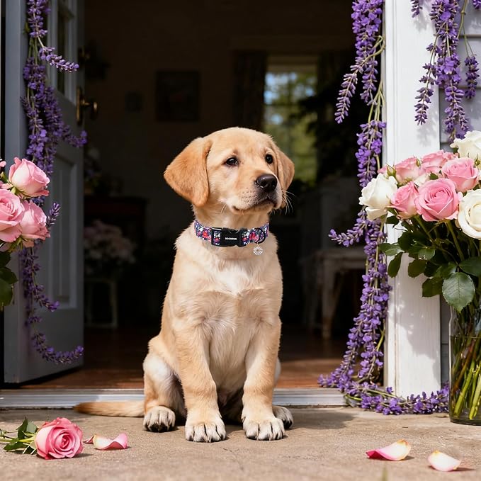 DOGWONG Blue Flower Dog Collar, Cute Adjustable Floral Collar, Girl Female Dog - Image 4