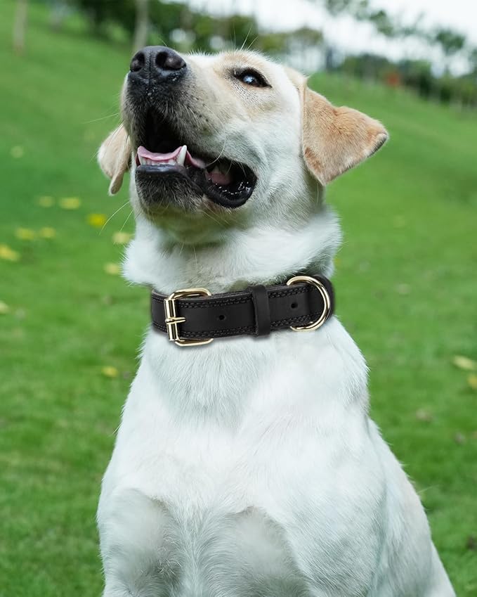 Joytale Genuine Leather Dog Collar - Image 2