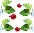 CousDUoBe 4 Pack Betta Fish Leaf Pad Improves Betta's Health by Simulating The by CousDUoBeAquariumfishtankdecoration