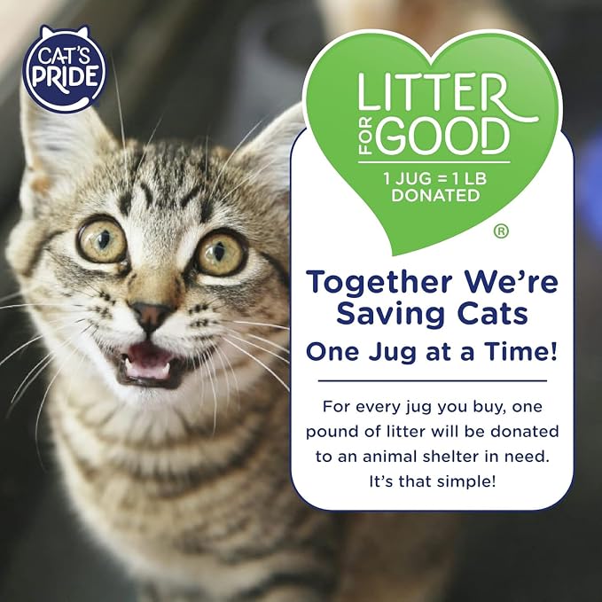 Cat's Pride Fresh and Clean Scent Cat Litter 10 lb. - Image 8
