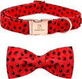 Lionheart glory Dog Collar, Watermelon Dog Collar by LionheartGlory