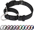 Martingale Dog Collar, Adjustable Nylon Reflective Collar by JOYEEIIOO