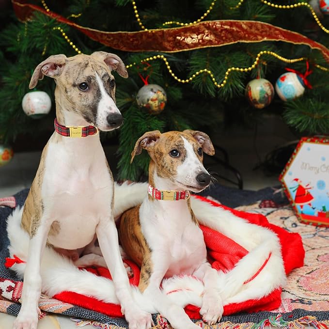 Unique style paws Christmas Dog Collar Metal Buckle Christmas Tree Puppy Collar - Image 5
