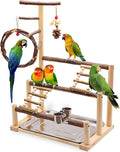 ‌Bird Playground, Natural Wooden Parrot Stand by Unknown