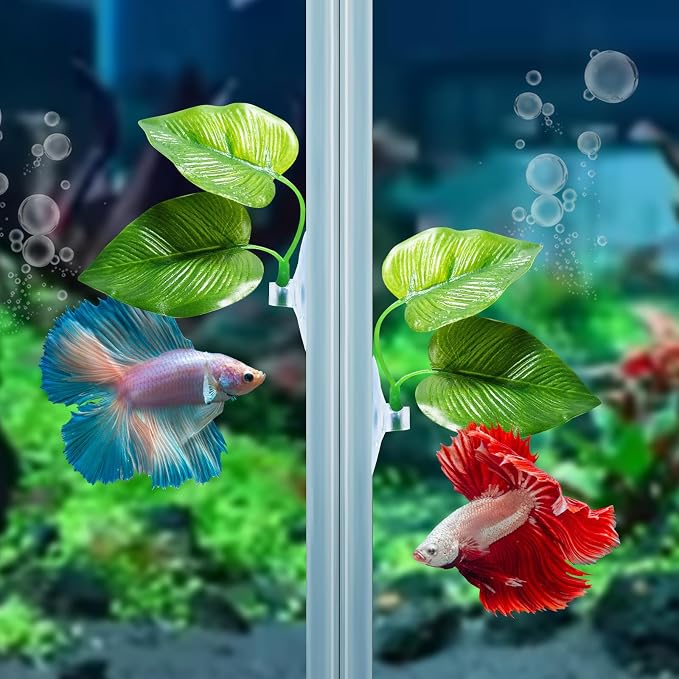 CousDUoBe 4 Pack Betta Fish Leaf Pad Improves Betta's Health by Simulating The - Image 5