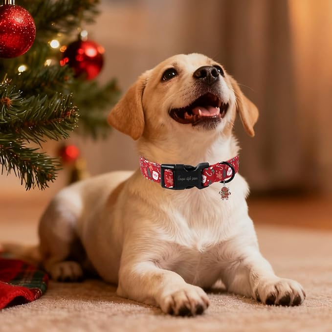 Christmas Dog Collar, Unique Style Paws Santa Claus Dog Collar - Image 4