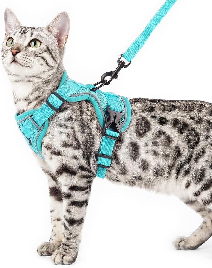 Cat Harness and Leash Set Escape Proof Tactical Small Kitten Harness Emotional by pangdi