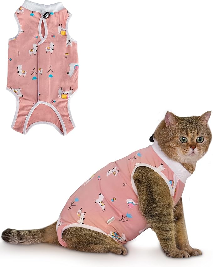 ANWA Cat Recovery Suit by ANWA