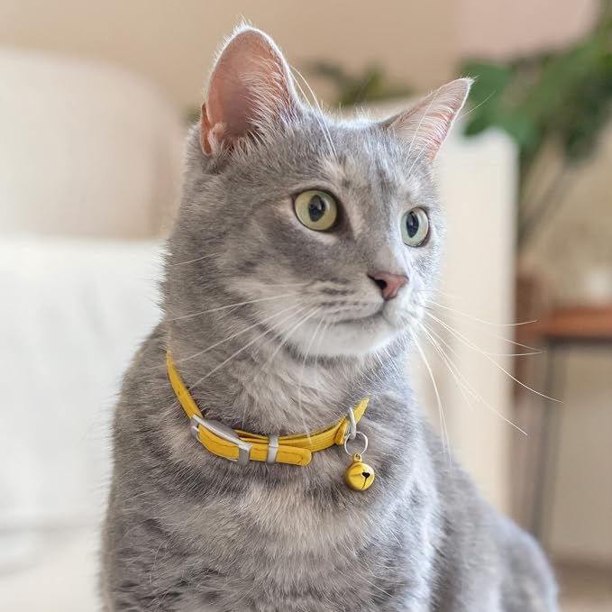 CollarDirect Leather Cat Collar - Image 6
