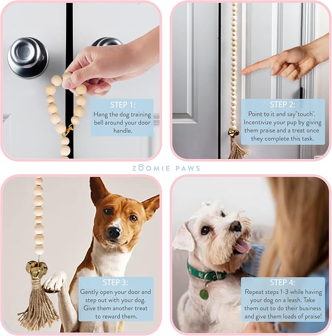 Training Dog Door Bells to Go Outside - Image 7