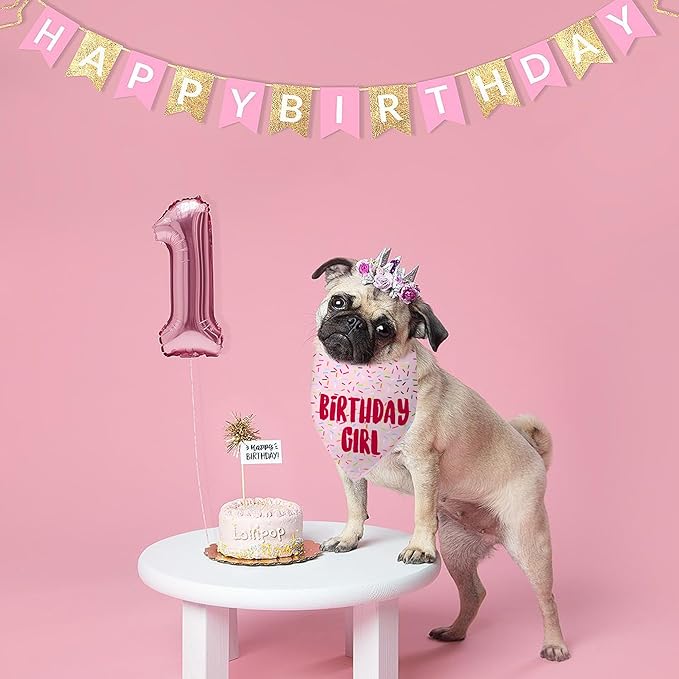 Birthday Girl Dog Bandanas 1 Pack, HBD Pet Scarves - Image 5