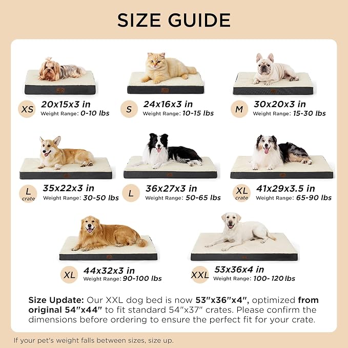 Bedsure Dog Bed for Small Dogs - Image 7