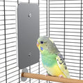 Fenocran Indoor Bird Heater Pad, USB Bird Warmer Heater, Bird Heater by Fenocran