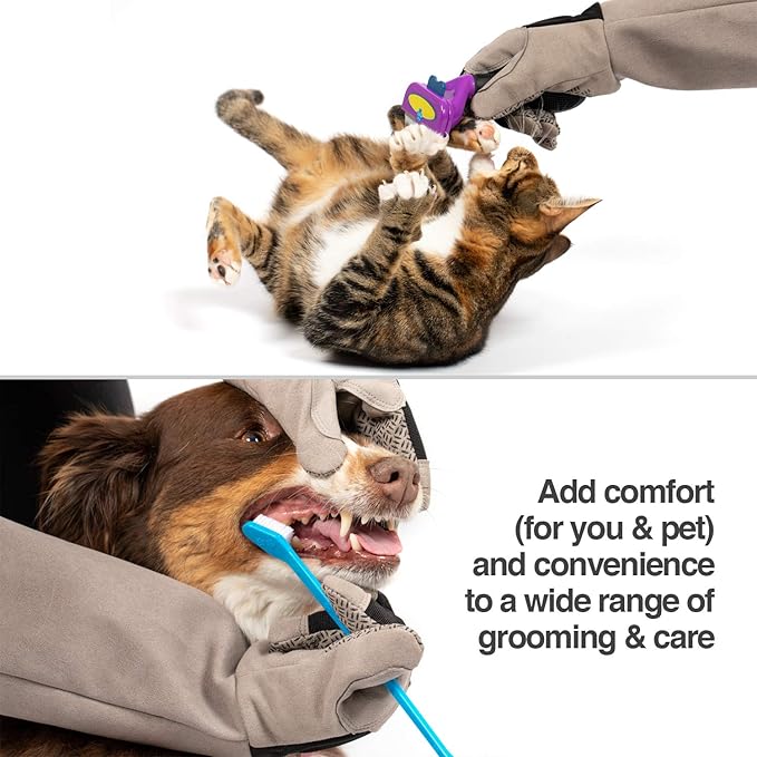 PetFusion Multipurpose Pet Grooming Gloves Great - Image 6