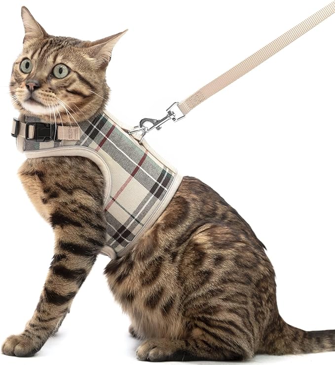 PUPTECK Soft Mesh Cat Vest Harness and Leash Set Puppy Padded Pet Harnesses by PUPTECK