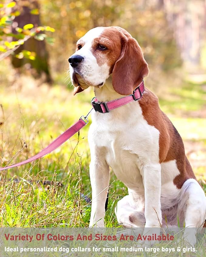 Reflective Dog Collar with Buckle Adjustable Safety Nylon Collars - Image 6