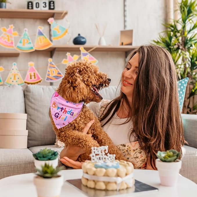 Dog Birthday Bandana Set, Dog Birthday Party Supplies, Puppy Boy Girl Birthday - Image 5