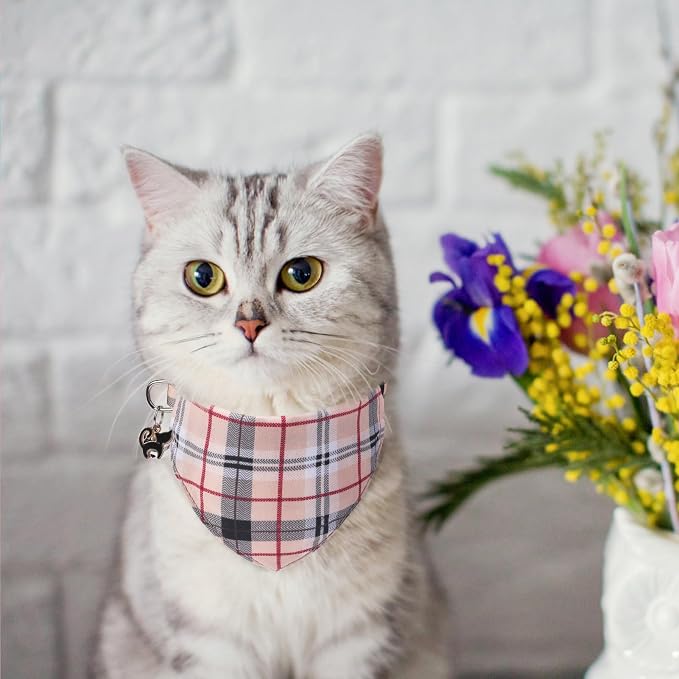 SCENEREAL Plaid Cat Collar - Image 2