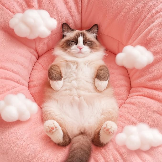 Cat Tunnel Bed for Indoor Cats, Peekaboo Cat Cave Bed, Soft Cat Donut Tunnel - Image 5