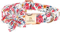 Lionheart glory Dog Collar Flowers Collar Floral Dog Collar by LionheartGlory
