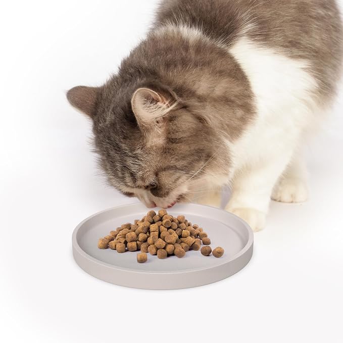 Arespark Pet Silicone Food Mat, Round Eating Tray - Image 4